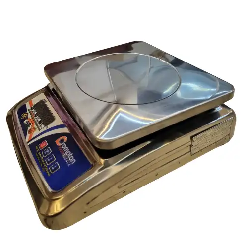 Crompton 30 Kg SS Big Weight Machine Weighing Scale