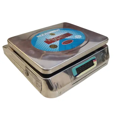 USHA 30Kg SS BIG Weight Machine Weighing Scale